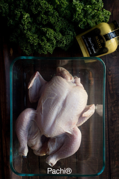 Cornish hens spiced w/o  1 w skin